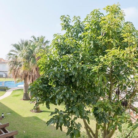 Alcossebre Residencial Marineu Palm Beach II מראה חיצוני תמונה